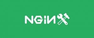nginx-logo